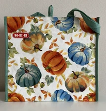 HEB Reusable Insulated Tote Bag Fall Autumn Pumpkins New
