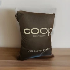 Coop “The Essence” QUEEN 2 Pack Adjustable Down Alternative Pillows 17x27