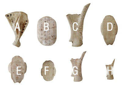 Resin Tortoise Shell,Bone Inscriptions/Chinese Ancient Script Oracle ...