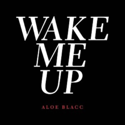 ALOE BLACC - WAKE ME UP (2-TRACK)  CD SINGLE  POP / R&B  NEU