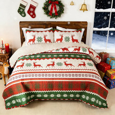 Christmas Quilts Queen Size, Soft Boho Floral Bedspreads for Bed Reversible Ligh