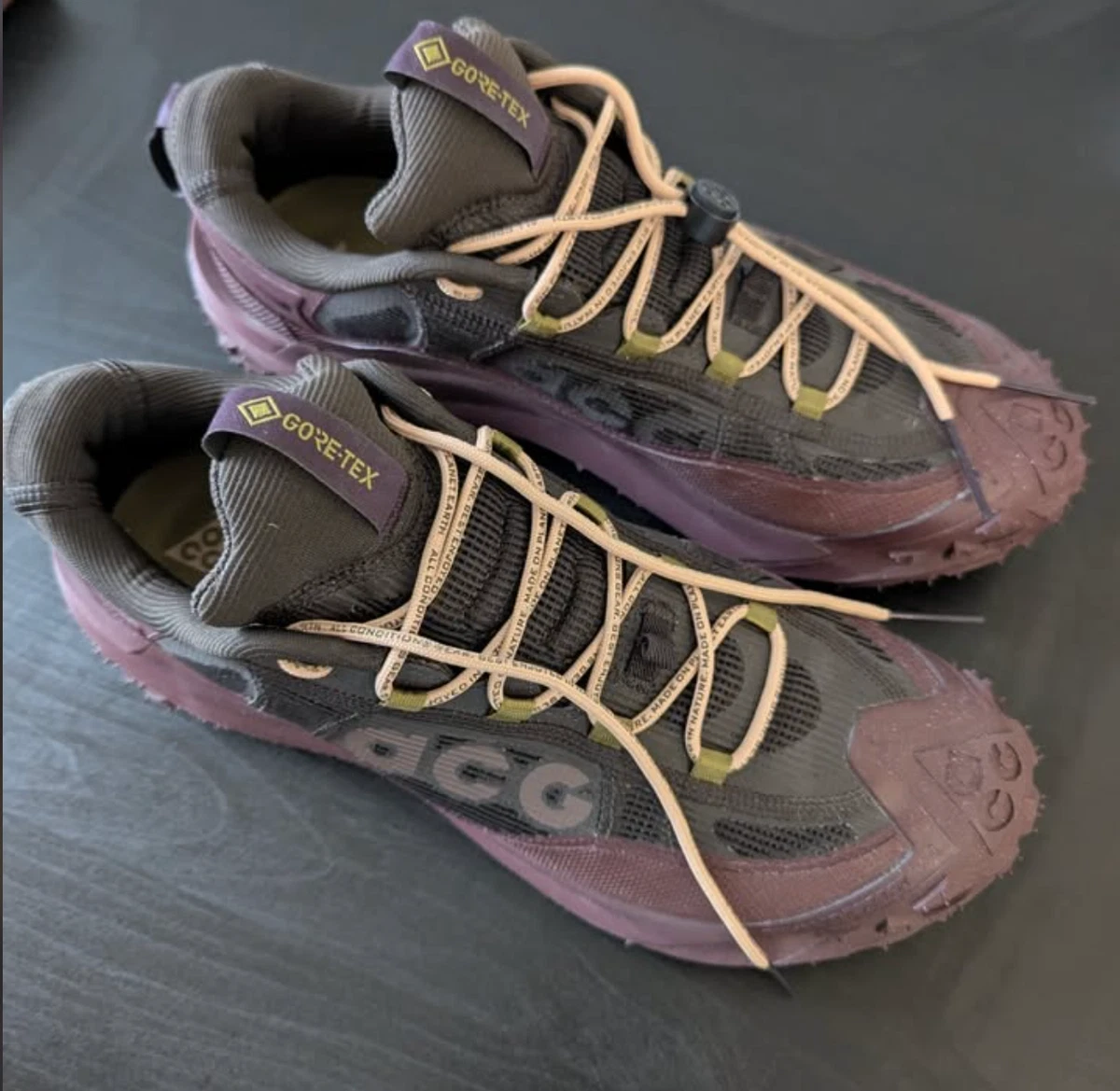 Nike ACG Mountain Fly 2 GORE-TEX Low Velvet Brown for Sale