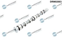 Dr.Motor Automotive Nockenwelle Auslassseite U.A. FüR Audi, Seat, Skoda, VW