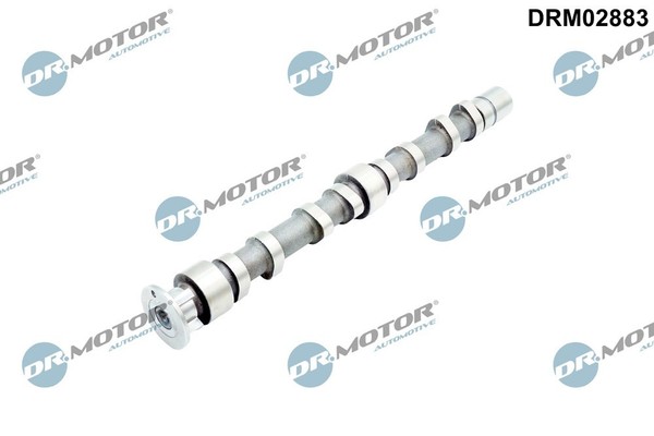 Dr.Motor Automotive Nockenwelle Auslassseite U.A. FüR Audi, Seat, Skoda, VW-image