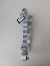 Top Paw  Neoprene Dog Leash 4-ft Cream Purple Green With Accessory Ring