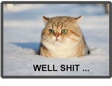 Funny Outside Snow Cat Stuck Refrigerator / Tool Box / File Cabinet Magnet
