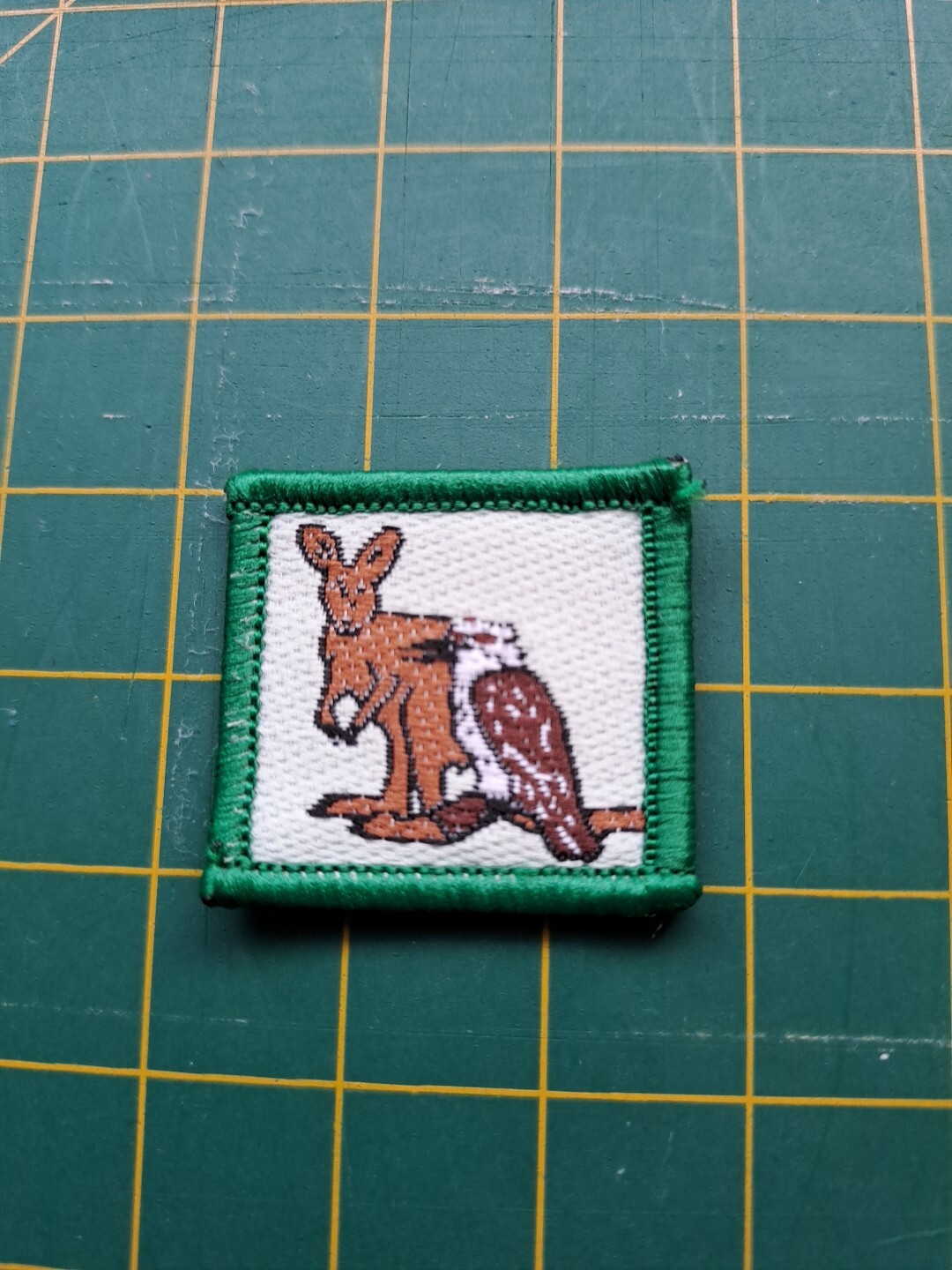 Old System Cub Scout Merit Badge - Level 1 Animals And Birds Micro ...
