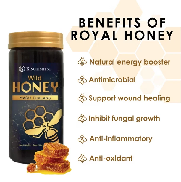 Original Anti-Oxidant Pure Tualang Honey-500g 100% RAW & WILD from Rainforest - image 2 of 4