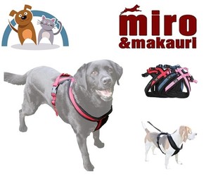 miro and makauri step in harness