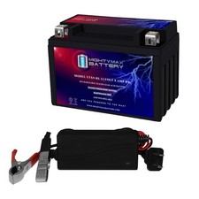 Mighty Max YTX9-BS Battery Replaces Onan-Cummins 4500i generator  12V 1A Chargr