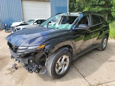Passenger Right Quarter Glass Privacy Tint Fits 22-23 TUCSON 2296809