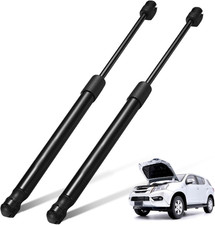 Rear Hatch Tailgate Lift Supports Struts Compatible with Scion tC 2005-2010 Rust