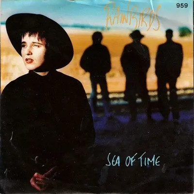 Rainbirds Sea Of Time Vinyl Single 7inch NEAR MINT Mercury