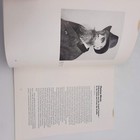 Picture 10 of 19