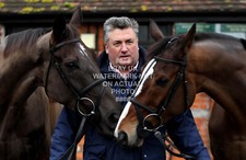 DENMAN KAUTO STAR PAUL NICHOLLS 2011 CHELTENHAM FESTIVAL PHOTO HORSE RACING