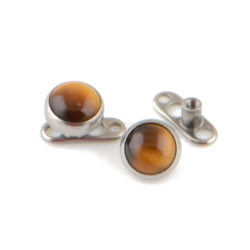 14G G23 Titanium Tiger's Eye or Black Onyx Natural 5mm Stone Dermal Anchor - Picture 2 of 3