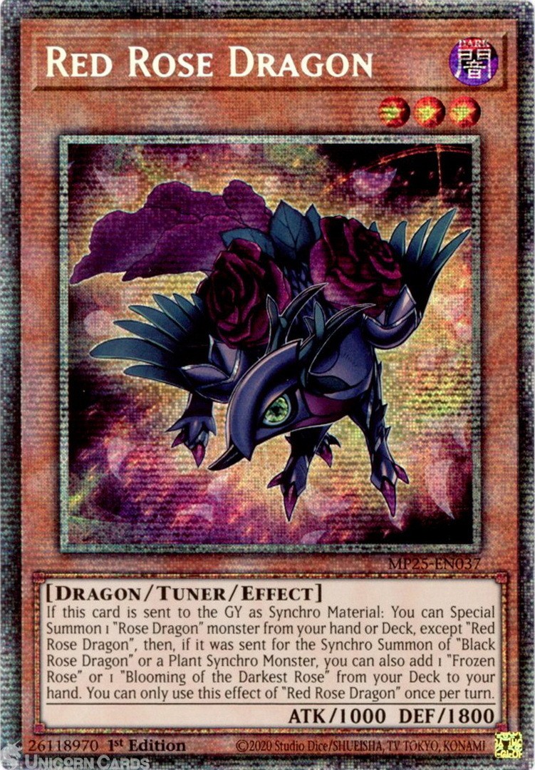 MP25-EN037 Red Rose Dragon : Starlight Rare 1st Edition Mint YuGiOh Card
