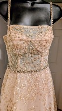 Terani Couture Glamour Ball Gown Sz 2