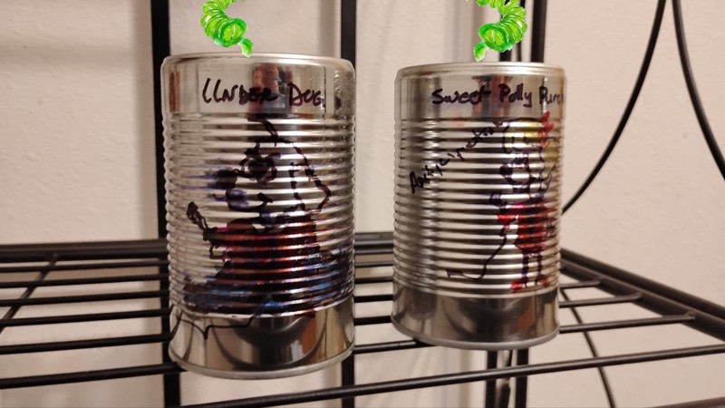 Ole Time Tin Can Phones - Funtime In The 70's