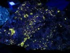 FLUORESCENT : MANGANAPATITE  - BENNETT MINE - BUCKFIELD, MAINE — photo 4