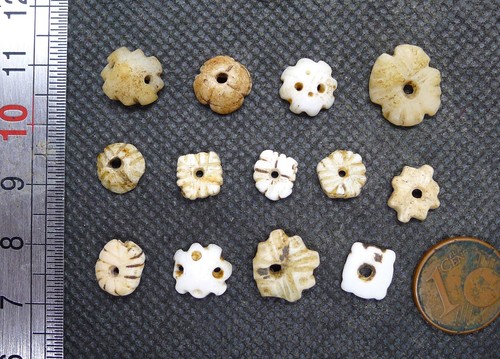 Konvolut Muschel Perlen Conus Kopfschmuck Mauretanien Antikschmuck Halskette Afrika