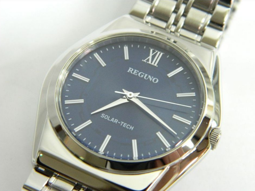 Reguno Solar-Tech E031-T017215 3 Hands Navy Silver Men's Watch | eBay