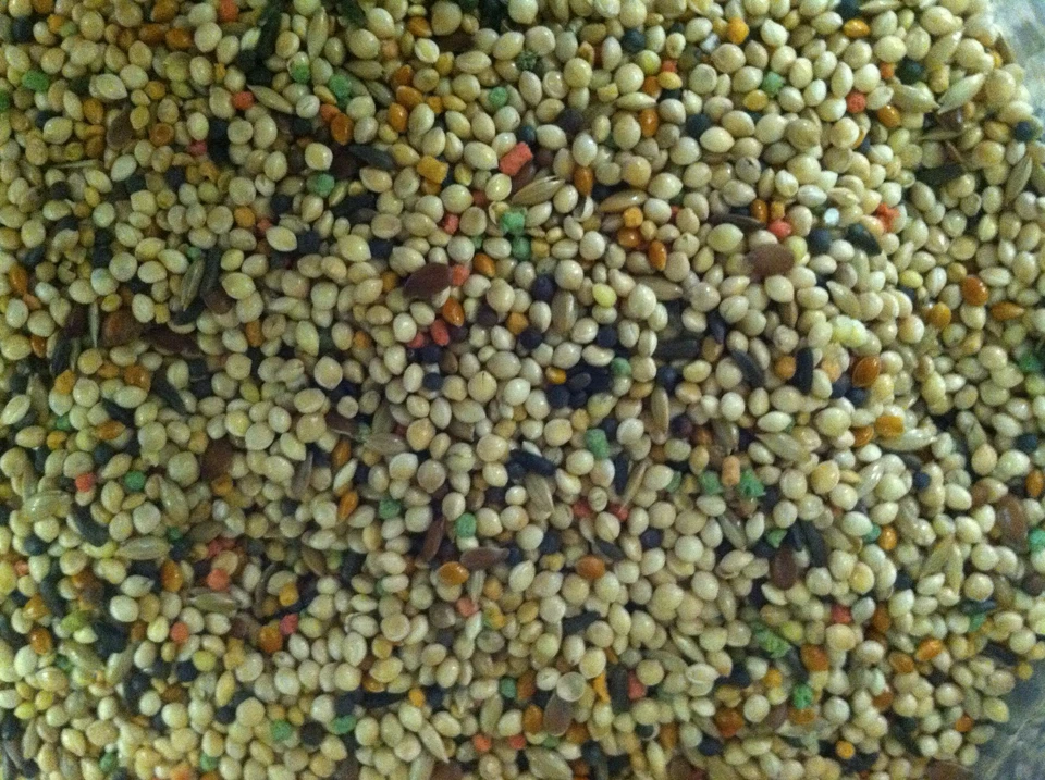 Independent's Choice Feed® Fortified Finch seed 5lbs for small birds