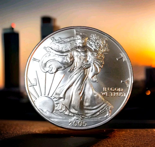 2005 Silver Eagle Coin ~ DONT WAIT ON THIS ONE ~ Prices are Going UP! BUY NOW!!!