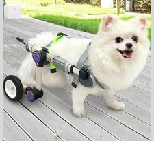 Adjustable Dog Wheelchair for Back Legs Mobility Support Lightweight Size XS