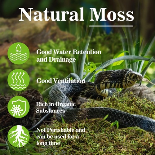 Sukh Sphagnum Moss for Reptiles Terrarium Peat Moss, Snakes Turtles Geckos - Afbeelding 3 van 7