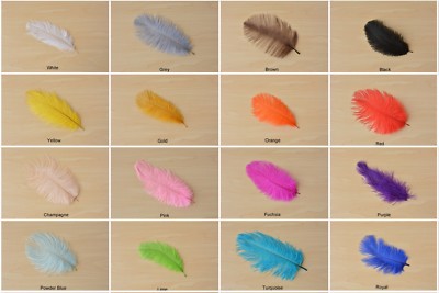 Hochwertige Straußenfeder Feder Hochzeit Party Deko Kostüm Handwerk 17 Farben 10 Stck.