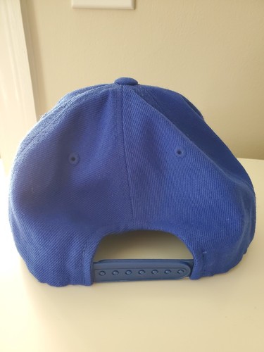 Florida Gulf Coast Eagles Hat Logo FGCU Baseball Sports Adjustable Brand Cap - Picture 3 of 9