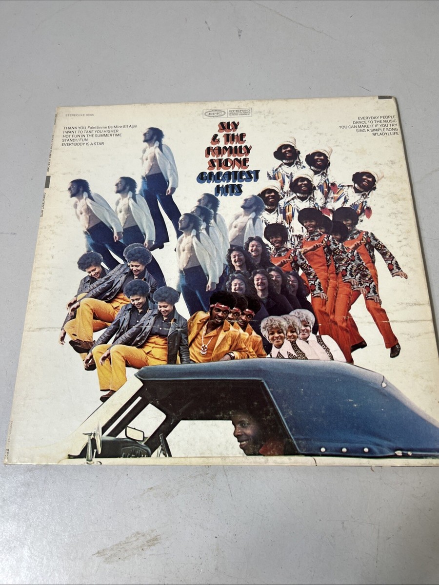 洋楽 SLY AND THE FAMILY STONE orignal vinyl Stone Soul: The Origins of Sly and the Family Stone LP