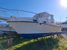 Barca a motore usata 8,5 metri Tripesce