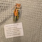 Butterfly/Moth Wings in Sealed Glass Jar Bottle with Cork, Cruelty Free — photo 2