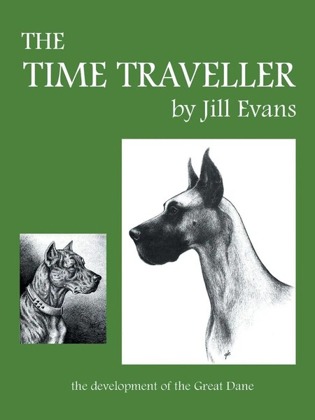 The Time Traveller Jill Evans Taschenbuch Kartoniert / Broschiert Englisch 2013-image