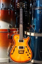 Knaggs Chena/hollowbody/brazilian Rw Fb/spruce Top