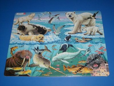 Larsen Puzzle - Tiere der Arktis, Meerestiere 75 Teile (FH11)
