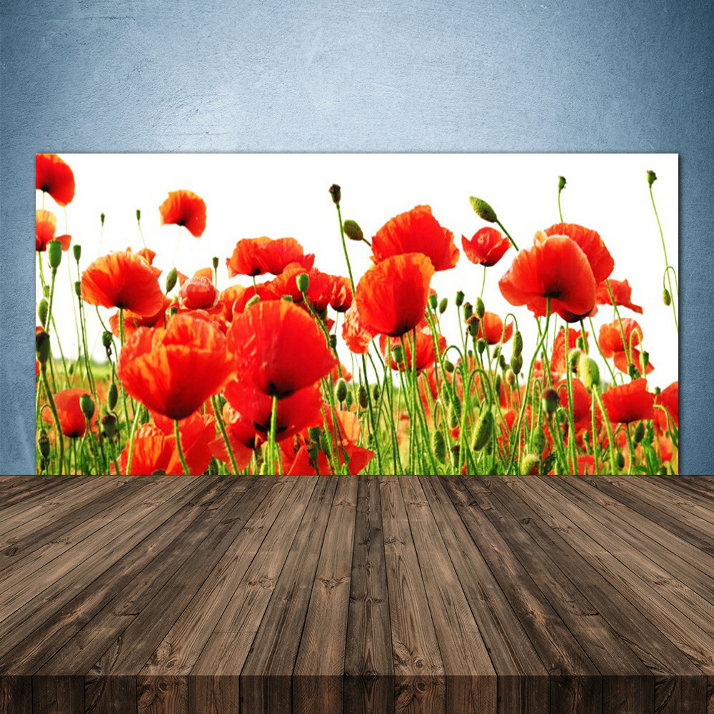 Crédence de cuisine en verre 140x70 cm motif coquelicots pour protection murale