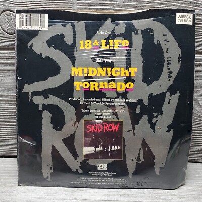skid row 18&LIFE レコード　12インチ skid row 18&LIFE レコード 12インチ M109203694ヴィンテージ