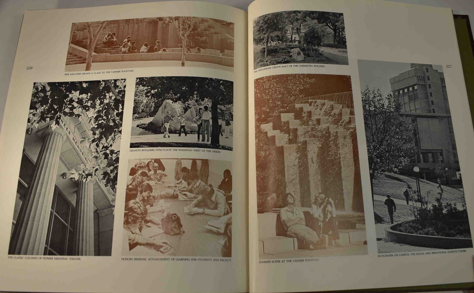 Picture 15 of 15