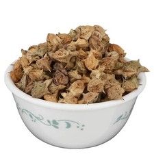 Pedalium murex L. , bada gokhru / GOKSHURA whole Free Shipping