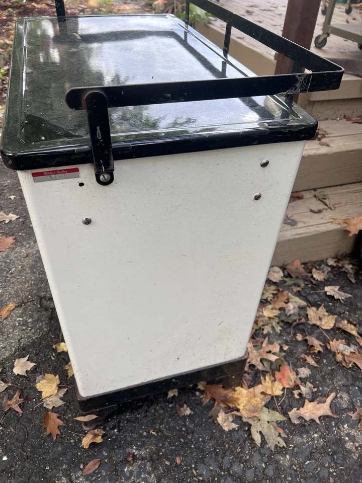 Gabinete médico de acero de colección exhibición charlatanería industrial funeral boticario escritorio Foto 4 de 4