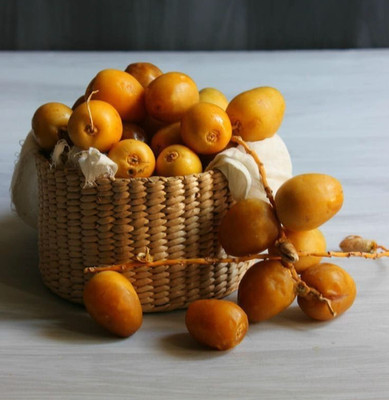 Lulu Date Palm 35+ Seedss (Phoenix dactylifera) Sweet Date Palm