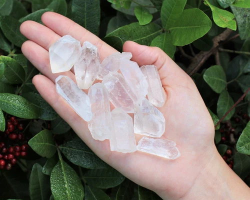 8 oz Clear Quartz Crystal Points 1/2 lb Bulk Lot Natural Mineral Wand Specimen  - Picture 7 of 11