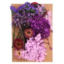 Pressed Flowers Bulk Dried Flowers Natural Pressed Flowers Leaves Purple Series