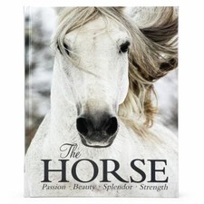 The Horse by Elaine Walker (author), Parragon Books (editor), Anett Somogyvar...