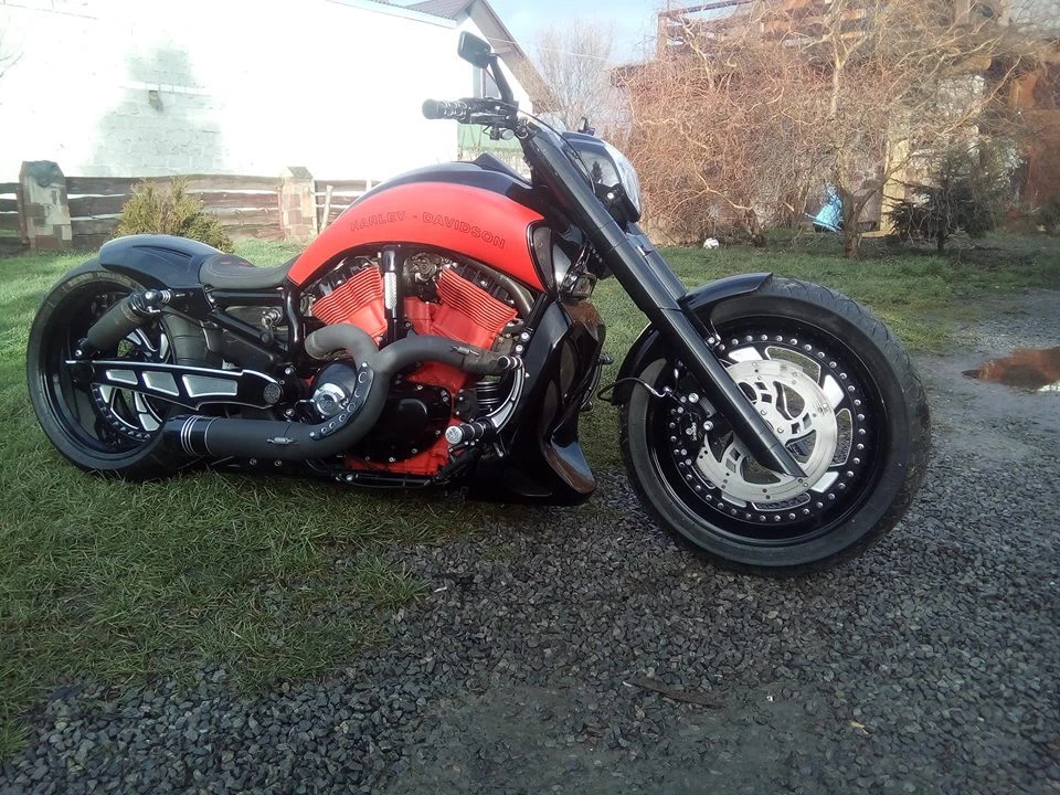 Night rod custom online