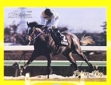 Seiun Sky/Thoroughbred Horse Racing Card Vintage TCG  Japanese #92
