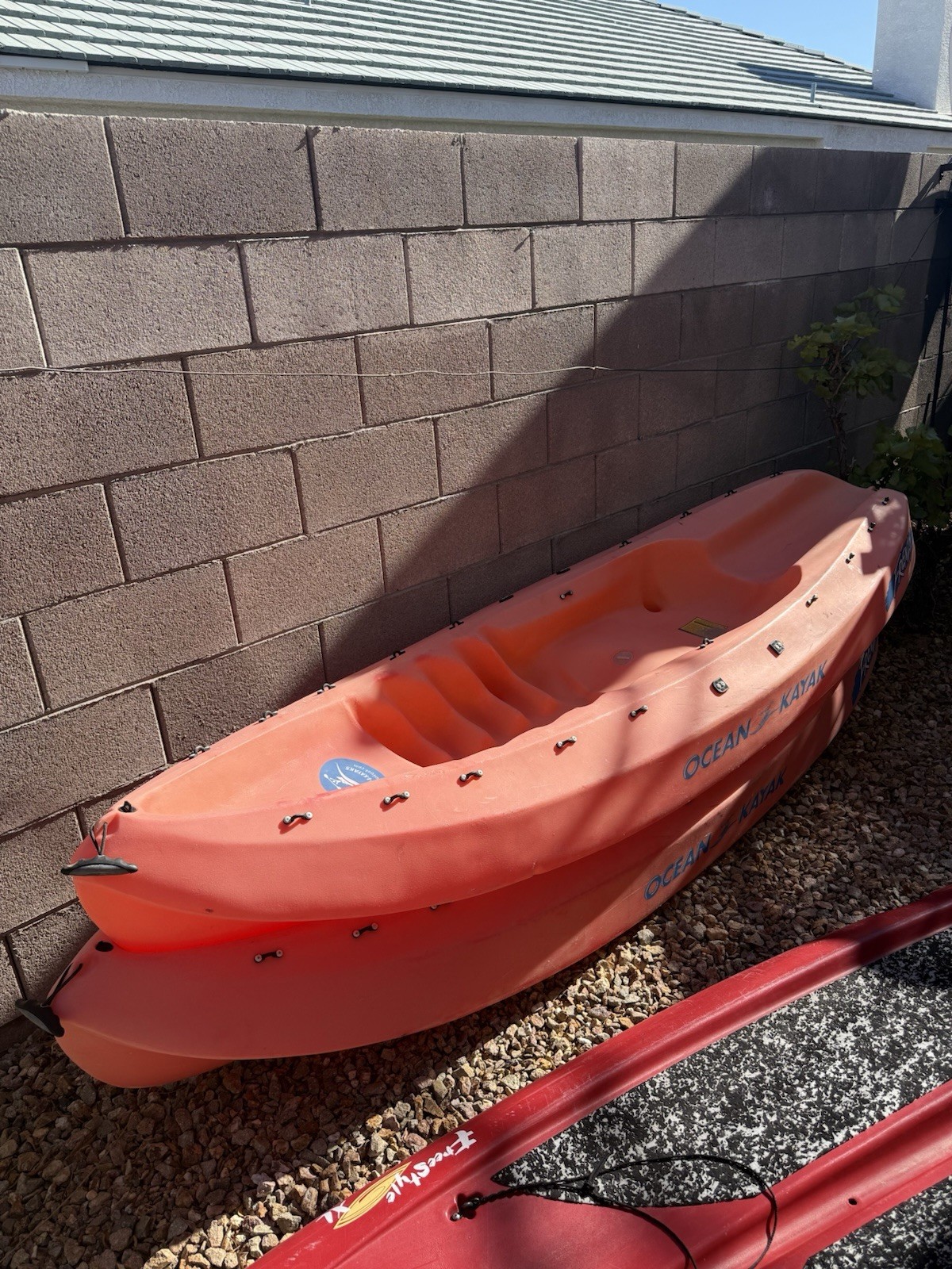S Frenzy With Lifejackets, Padded Seats, And 3 Paddles